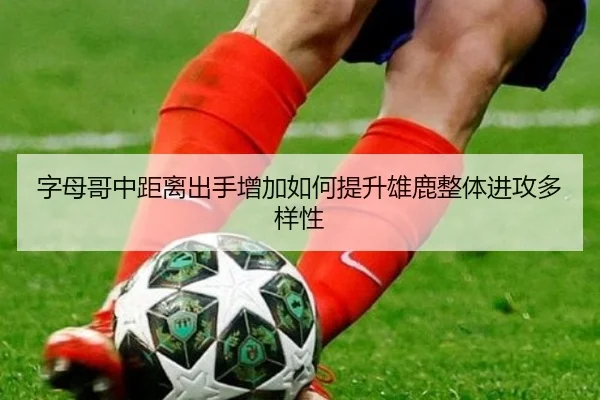 zi-mu-ge-zhong-ju-li-chu-shou-zeng-jia-ru-he-ti-sheng-xiong-lu-zheng-ti-jin-gong-duo-yang-xing-2-456.jpg